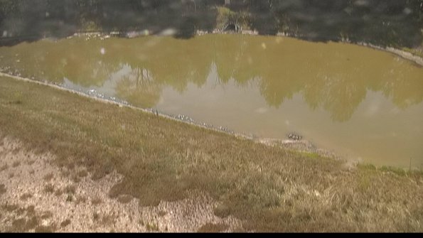 capture-8-22-06-30_10-13-43-42