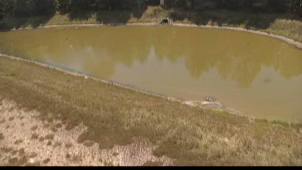 capture-8-22-06-30_11-16-07-45