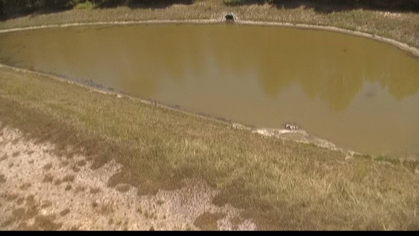 capture-8-22-06-30_13-20-55-39