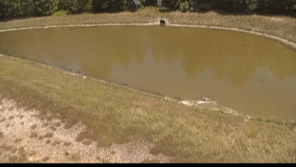 capture-8-22-06-30_14-23-18-42