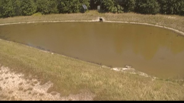 capture-8-22-06-30_15-25-42-50