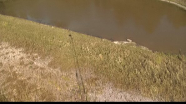 capture-8-22-06-30_18-32-51-32