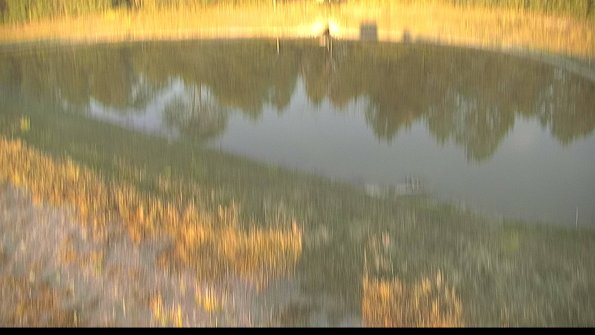 capture-8-22-06-30_20-37-37-46