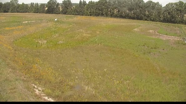 capture-1-22-07-01_12-15-37-52