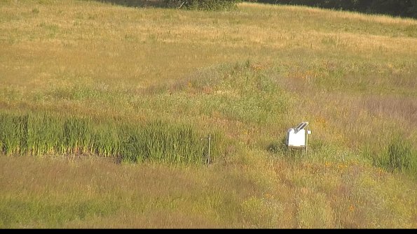 capture-12-22-07-01_08-04-25-35