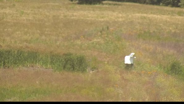 capture-12-22-07-01_12-13-58-48