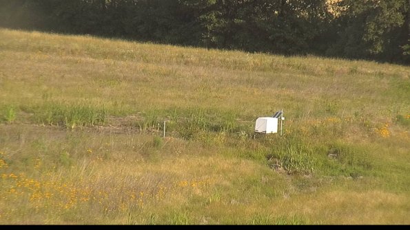 capture-13-22-07-01_08-04-53-41