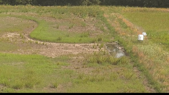 capture-14-22-07-01_10-10-07-46