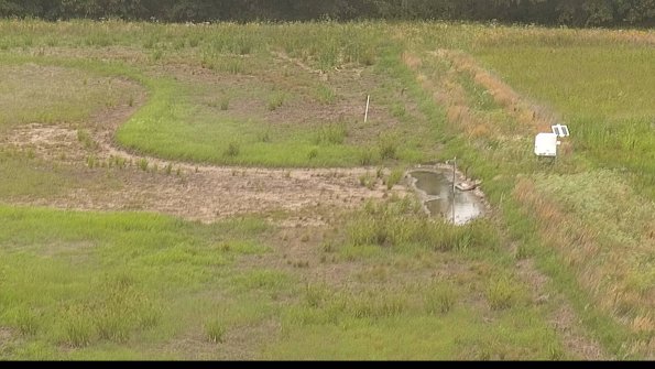 capture-14-22-07-01_13-17-18-29