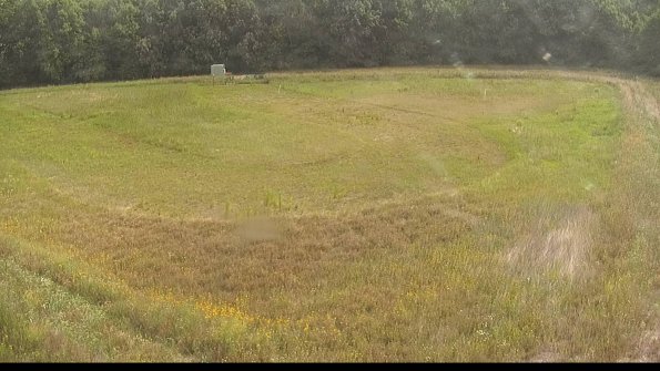 capture-15-22-07-01_10-10-21-54