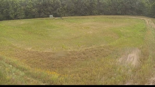 capture-15-22-07-01_11-12-45-43