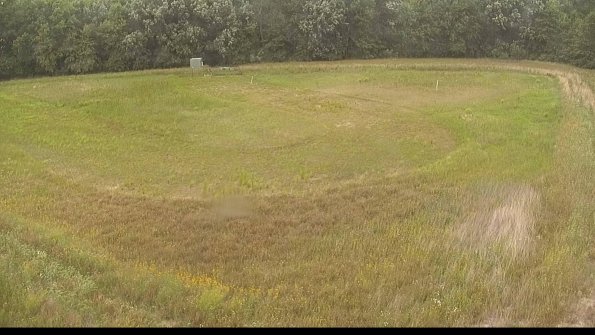 capture-15-22-07-01_14-19-56-53