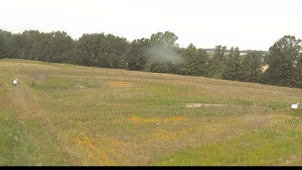 capture-4-22-07-01_11-11-49-24