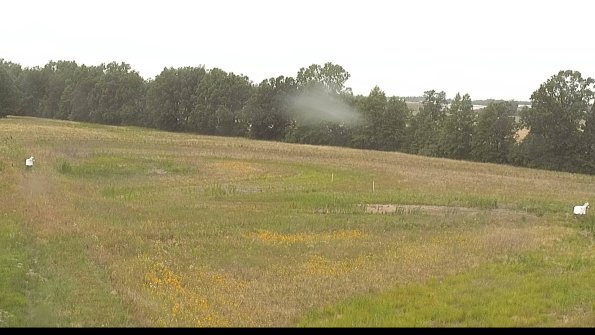 capture-4-22-07-01_13-16-36-32