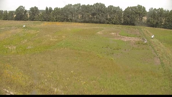 capture-6-22-07-01_12-14-41-59