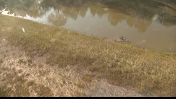 capture-8-22-07-01_08-03-55-29