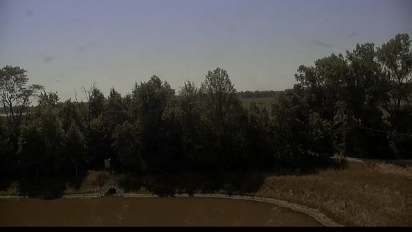 capture-1-22-07-03_11-05-42-70