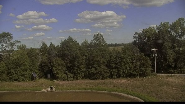 capture-1-22-07-30_17-06-59-46