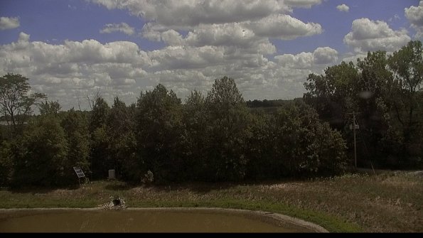 capture-1-22-07-31_13-43-23-56