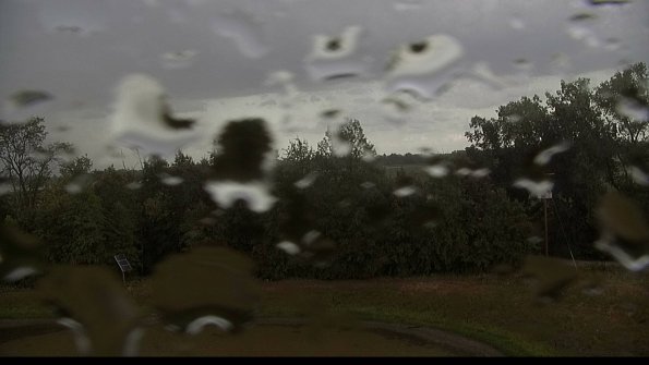 capture-1-22-08-03_17-58-01-54