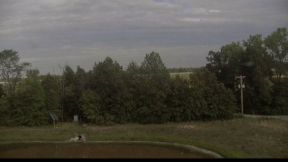 capture-1-22-08-04_17-39-49-88