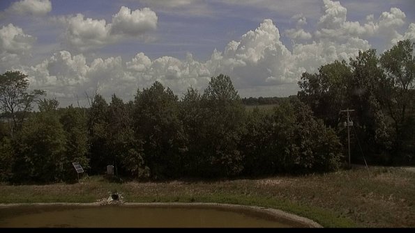 capture-1-22-08-07_14-41-36-31