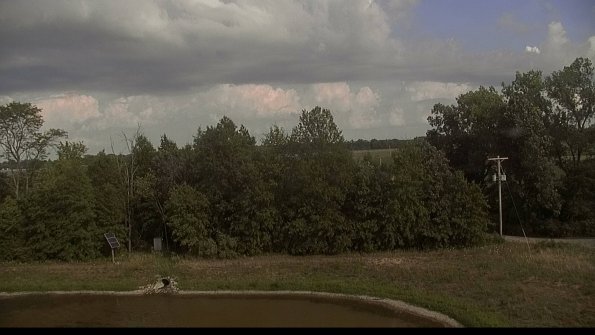 capture-1-22-08-07_17-47-03-28