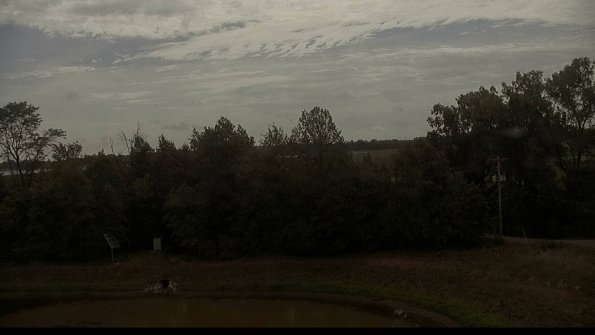 capture-1-22-08-08_11-17-57-41