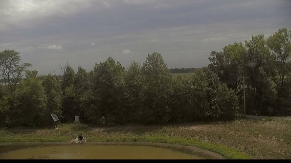 capture-1-22-08-08_13-21-35-36