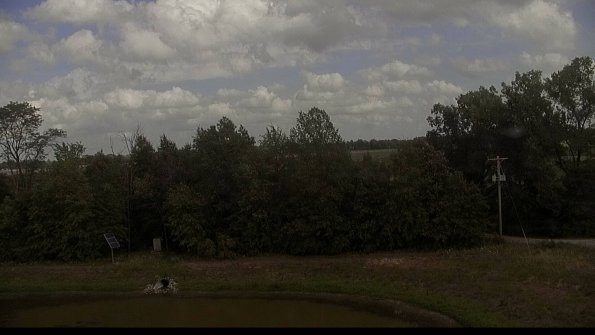 capture-1-22-08-08_16-27-02-33