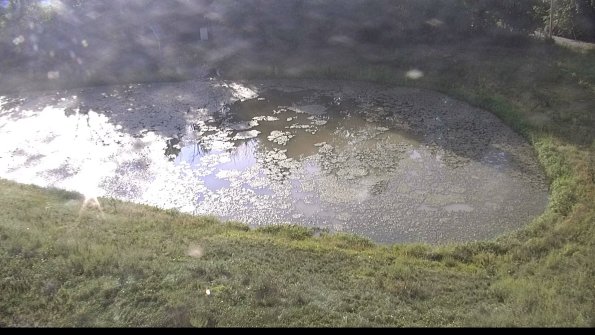 capture-14-22-08-28_09-01-12-72