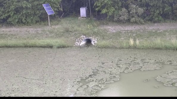 capture-16-22-09-12_14-52-03-98