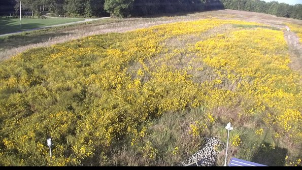 capture-3-22-09-21_09-04-43-75