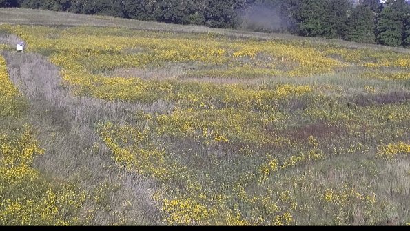 capture-5-22-09-21_09-04-52-39