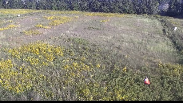 capture-8-22-09-21_09-04-59-33