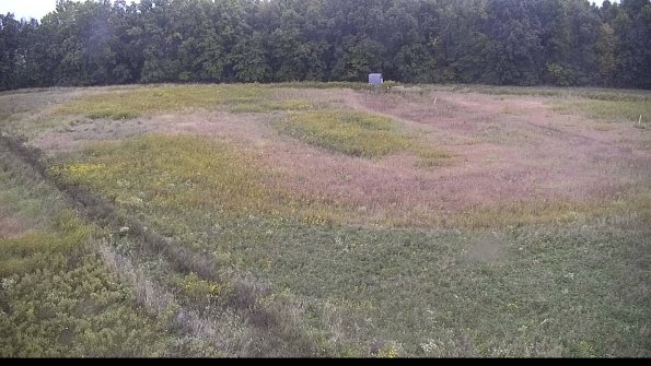 capture-11-22-09-28_08-20-21-84