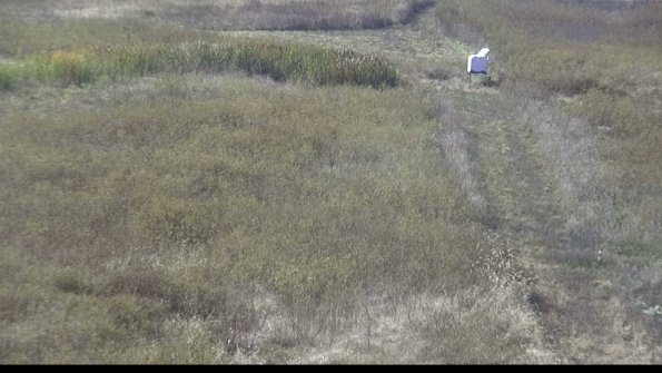 capture-4-22-10-15_16-05-05-69