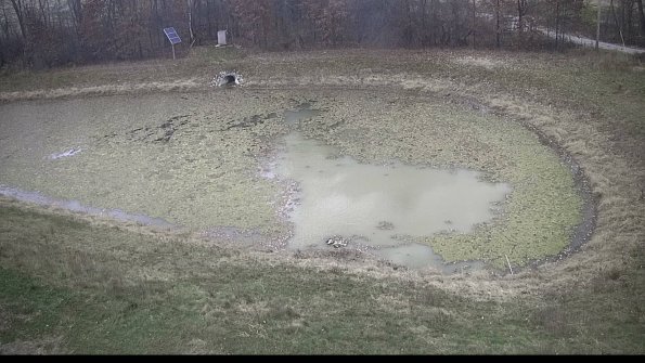 capture-14-22-11-05_16-38-41-43