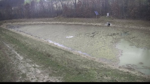 capture-15-22-11-05_16-38-32-32