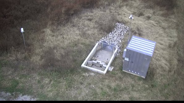 capture-2-22-11-05_16-49-11-93