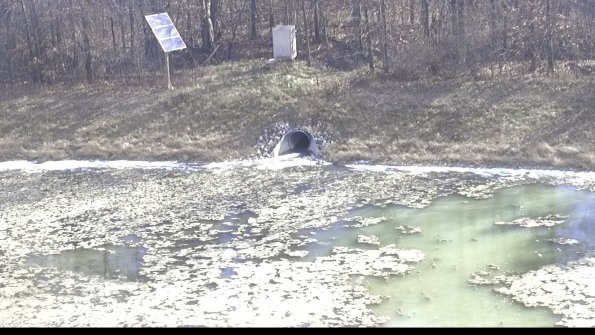 capture-16-22-11-21_11-18-47-26