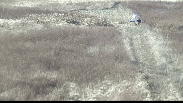 capture-4-22-11-21_14-12-18-44