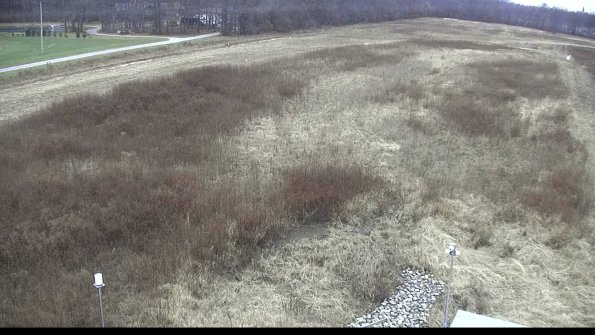 capture-3-22-12-02_10-38-38-48