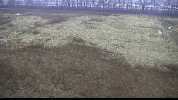 capture-8-23-01-03_10-15-55-18