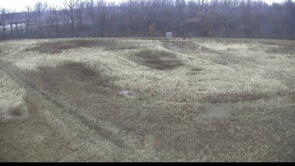 capture-11-23-01-11_15-05-18-17