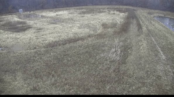 capture-13-23-01-11_15-05-34-18