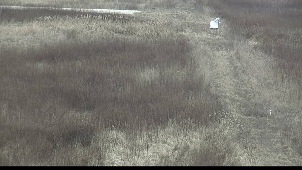 capture-4-23-01-11_15-06-03-18