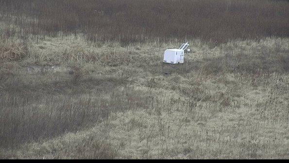 capture-7-23-01-11_15-06-23-66