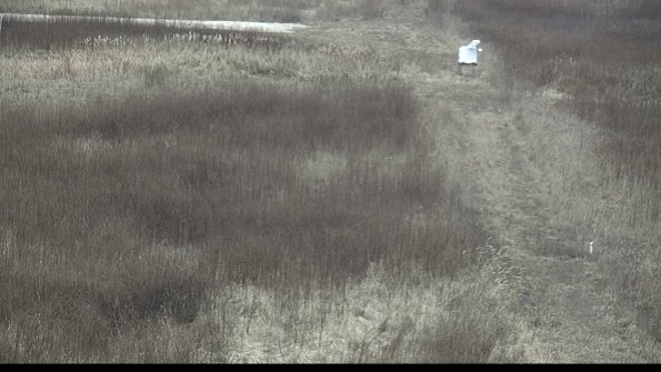 capture-4-23-01-18_15-14-02-03