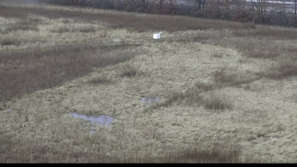 capture-6-23-01-19_12-09-05-08